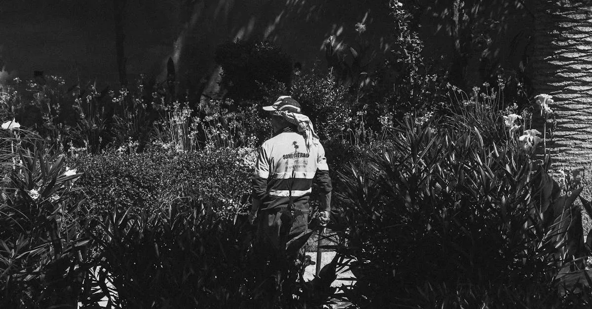 Descubra os Melhores Jardineiros Para Manutenção em Brasília