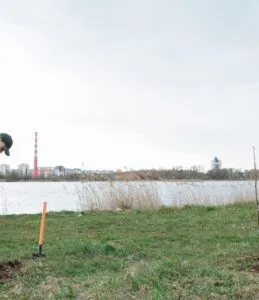 Descubra as Melhores Empresas de Jardinagem em Brasília Descubra as Melhores Empresas de Jardinagem em Brasília