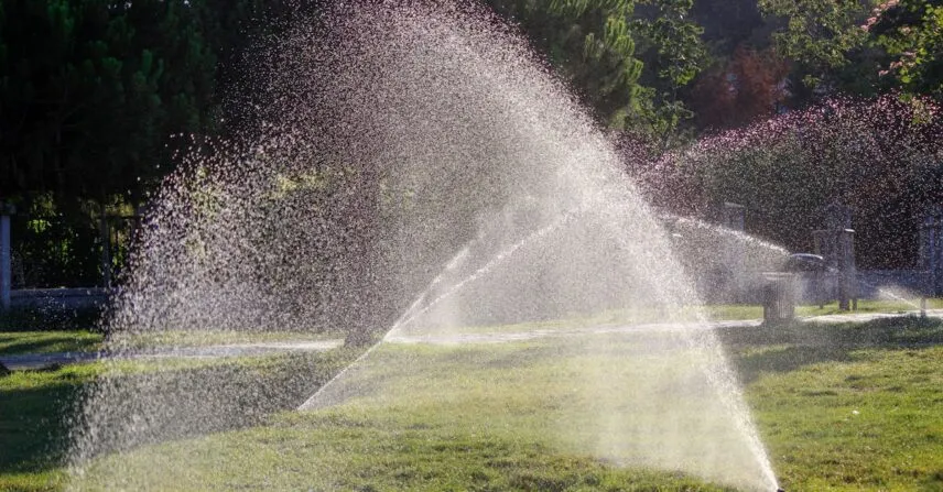 Descubra as Melhores Empresas de Paisagismo em Brasília Descubra as Melhores Empresas de Paisagismo em Brasília