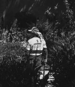 Descubra os Melhores Jardineiros Para Manutenção em Brasília Descubra os Melhores Jardineiros Para Manutenção em Brasília