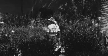 Descubra os Melhores Jardineiros Para Manutenção em Brasília