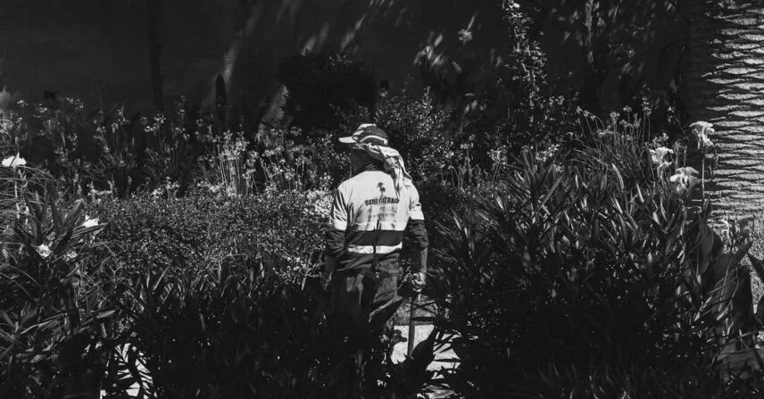 Descubra os Melhores Jardineiros Para Manutenção em Brasília