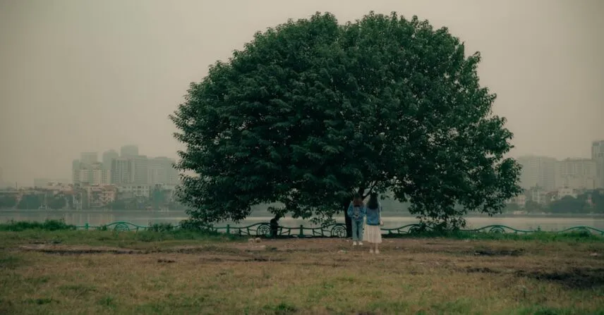 Descubra a área verde no DF ideal para discipulado Descubra a área verde no DF ideal para discipulado